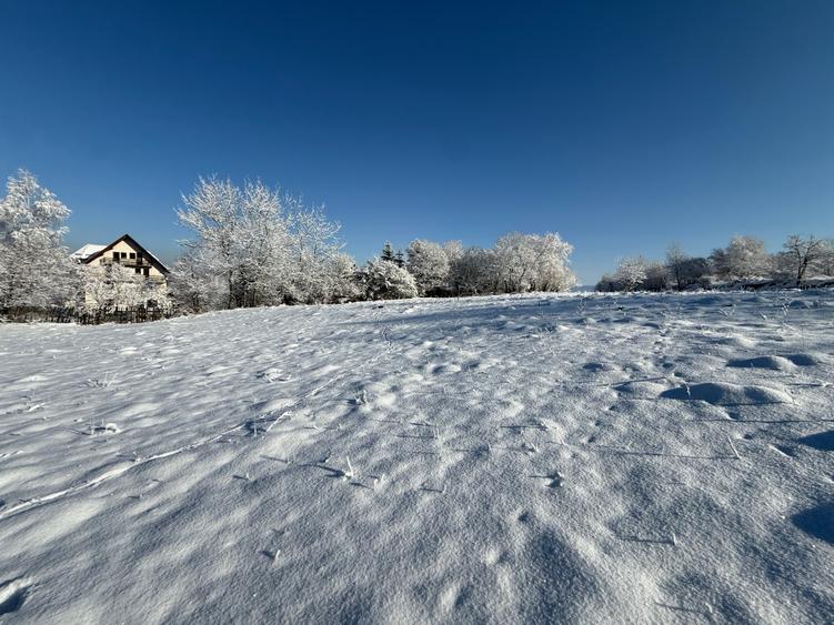 Teren intravilan 500 sau 1000 mp Bran-Tohanita la dum asfaltat - 25