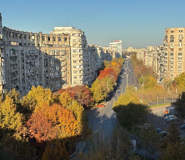 UNIRII,oportunitate de achizitie,centrala termica proprie,renovat complet,utilat - 11