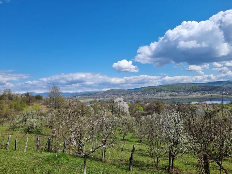 Pamant vanzare | Lac Zigoneni | Valea Lui Enache | Priveliște superba - 8