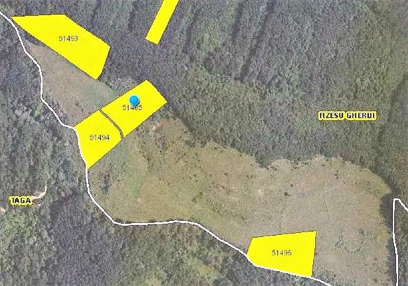 Terenuri extravilane pasune 3,5 ha. Nicula,Gherla ,jud.Cluj - 6