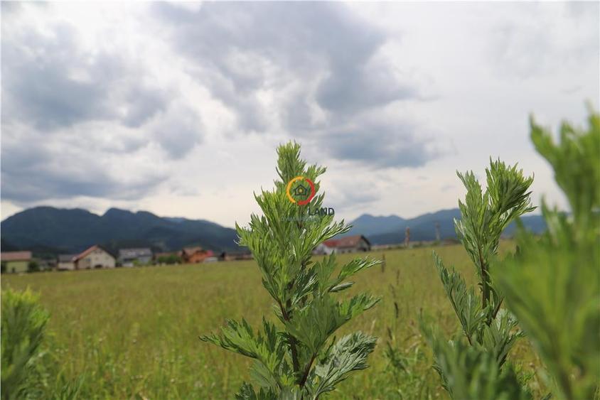 teren  intravilan13100 mp pentru dezvoltare imobiliara - 4