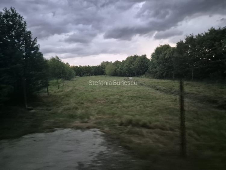 Teren intravilan | 2000 mp | de vanzare- Valea Avrigului