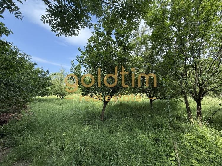 CASA IN ZONA LINISTITA/MOBILATA/UTILATA/TEREN IMPRESIONANT 5000MP/CORNU/PRAHOVA - 4