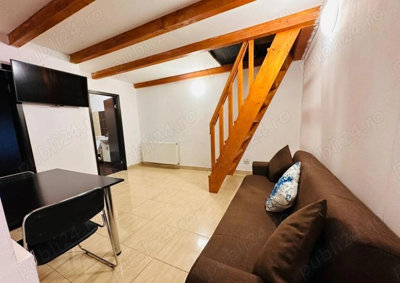 Dimtrie leonida studio dubla - 4