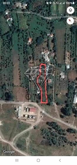 TEREN GURA VITIOAREI - 5