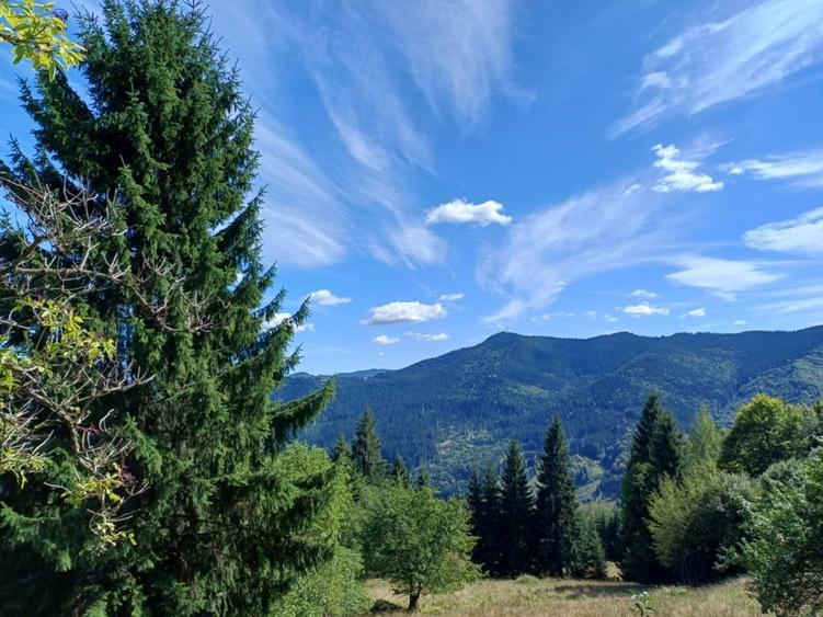 Casa/gospodarie + teren 5.7 ha intravilan Brodina, jud. Suceava - 6