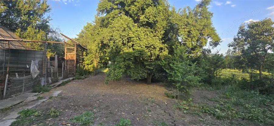 Apartament 82 mp de vanzare la casa in Chintelnic - 10