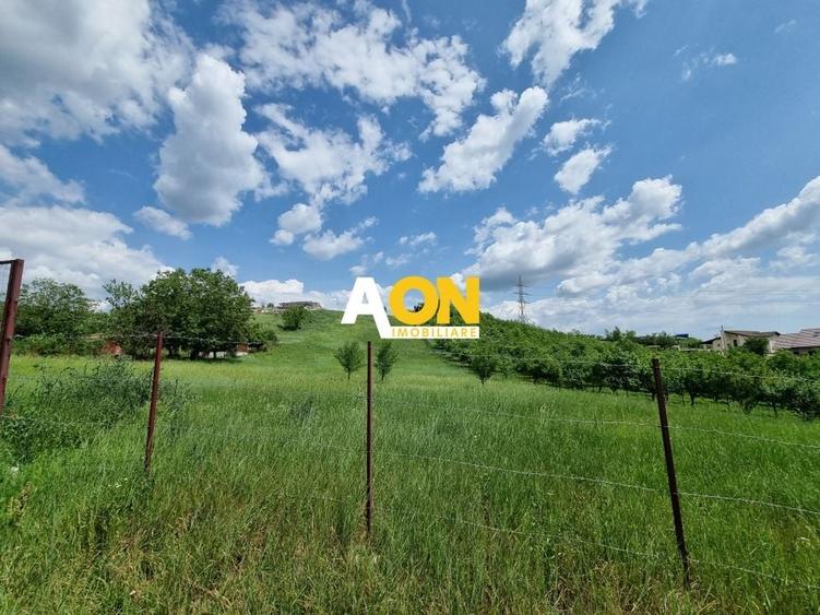 De vanzare 998 mp teren intravilan, Cetate - 1