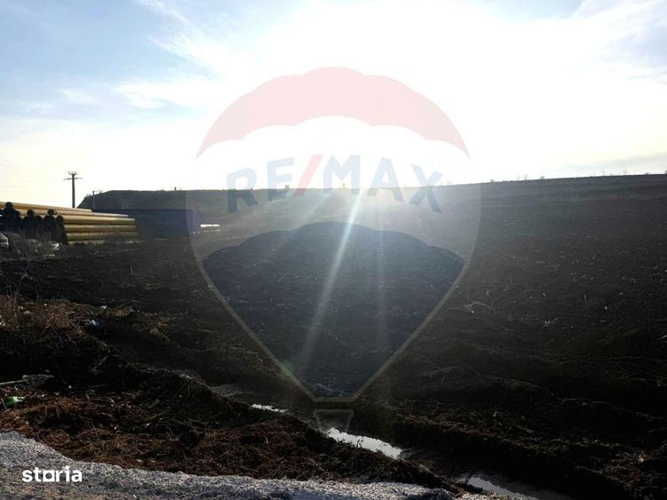 Teren 4.956mp Letea Veche / Calea BARLADULUI - 8