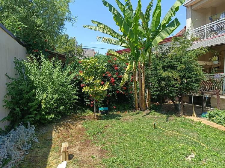 Vila  zona Elisabetin P+2E+M - 6