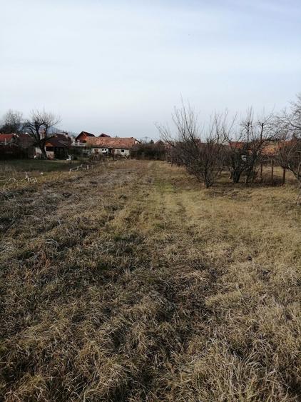 Teren intravilan Ghimbav - 6