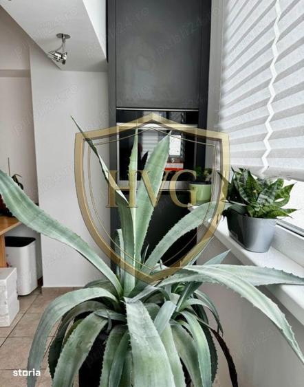 Garsoniera | Arcul de Triumf - 7