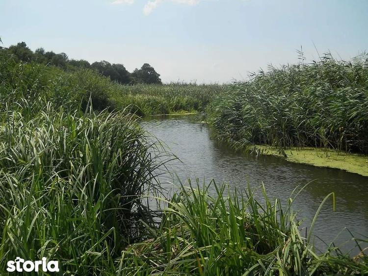 Vand loturi de 527 si 635 mp langa Delta Neajlovului la cel mai bun pr - 5