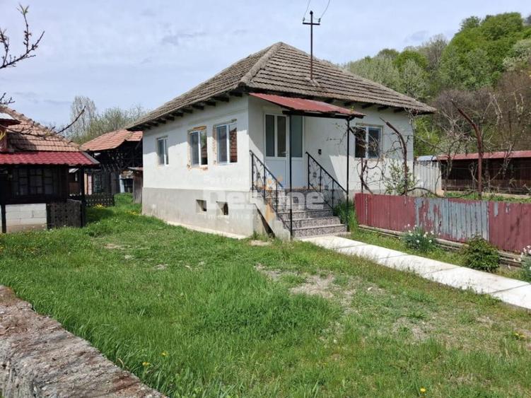 Casa renovata complet, 3068 mp teren, langa Manastirea - 3