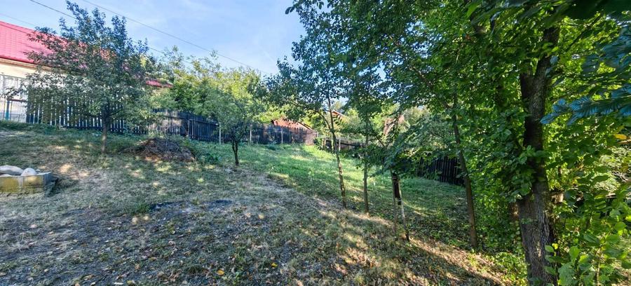 Teren 532 mp plus anexe (Poiana Campina, cartier Ragman) - 3