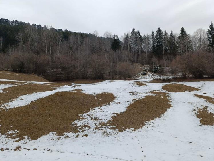 Vand teren 9000 mp teren Grozavesti com Hanguu - 1