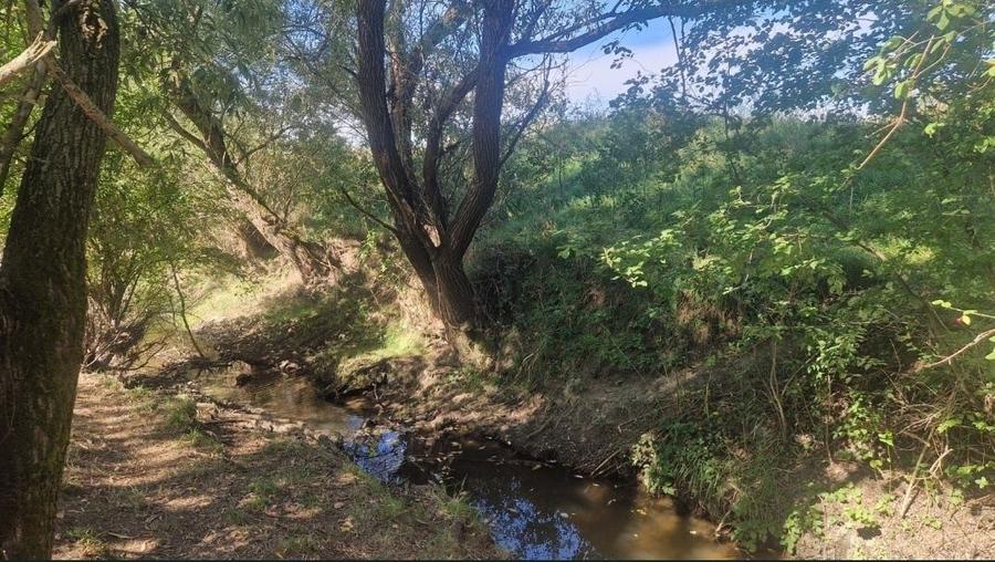 Casa moderna mobilata,96mp+2200mp teren,zona linistita (sat Colibi) - 1