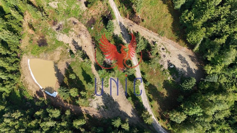 18000 mp de natura pura ,Lupeni, langa Straja - 18