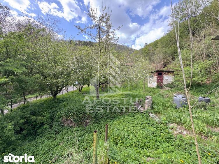 Casa batraneasca cu 2 camere, vedere panoramica, in Toplita, Hunedoara - 9