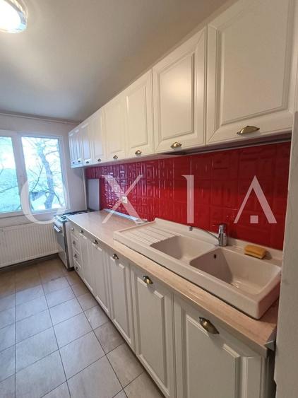 AX1235 Central, Parcul Botanic, Spatios, Lift - 6