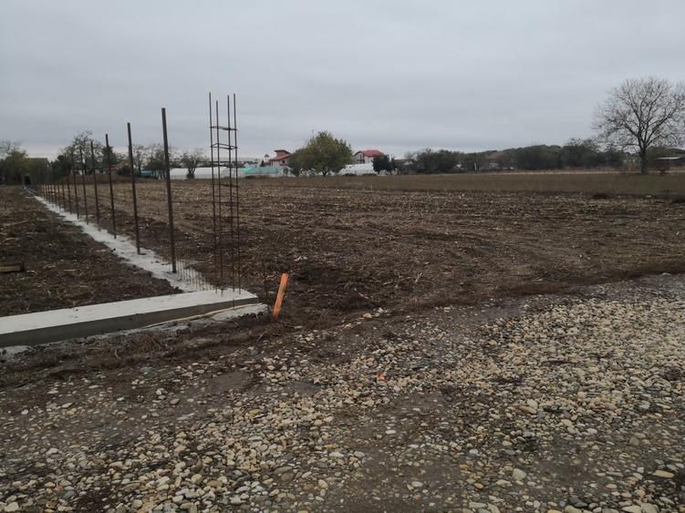 Magurele 1500mp langa padure, utilitati - 1