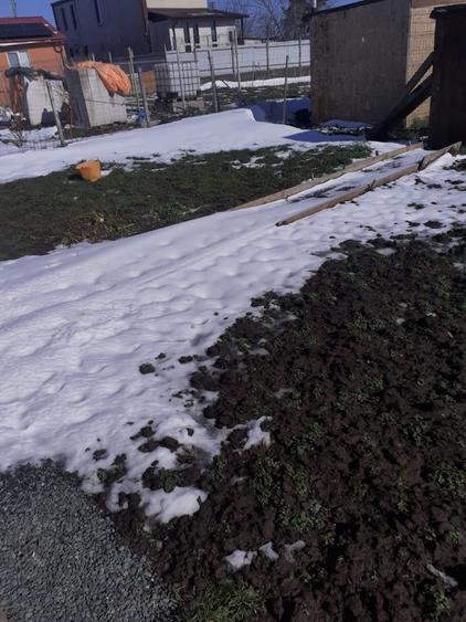 Casuta de vacanta ,  s au teren cu utilitati - 5