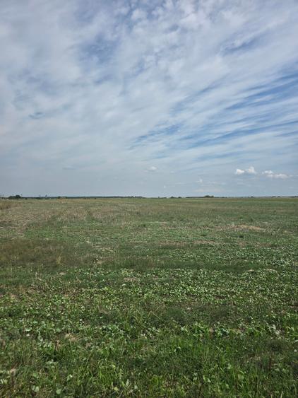 Mosnita Veche - 11 parcele - 10800 mp- CF individuale - 6