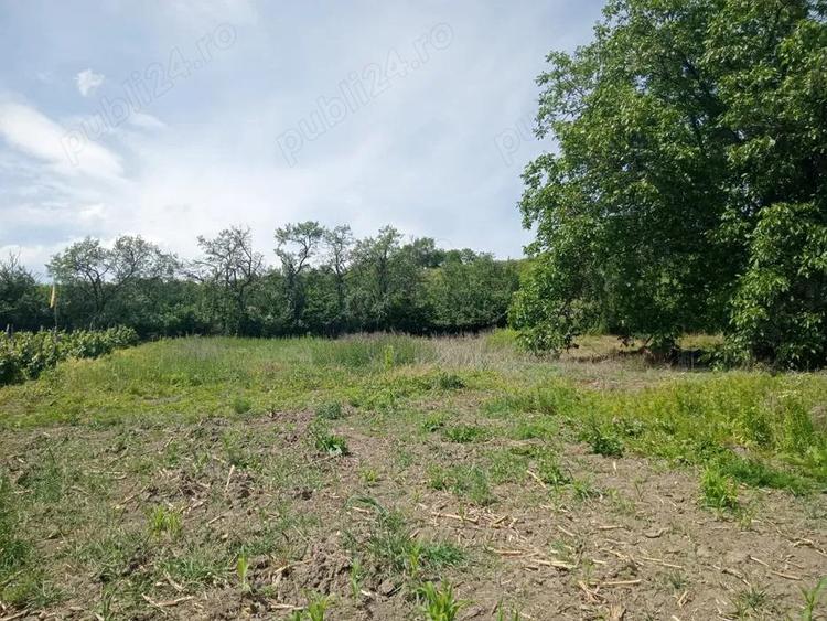 Casa de vanzare Almasu Mare - 3