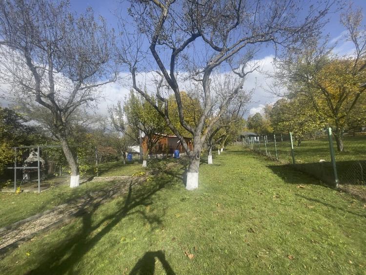 Casute Breaza, teren 1140 mp - 18