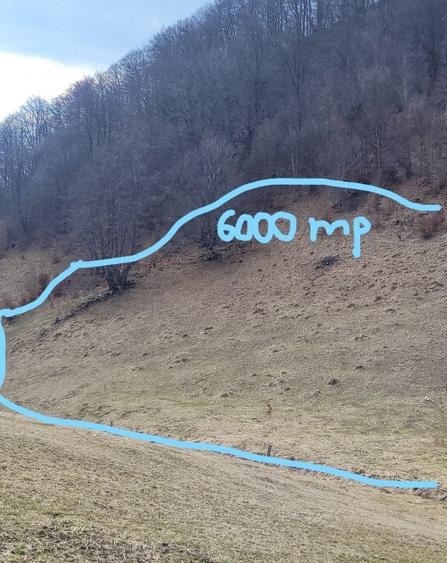 Teren intravilan 3 loturi de 6000, 2800 si 12000mp - 2