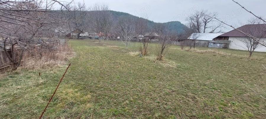 Teren în Câmpuri