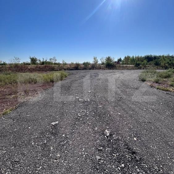 Teren Construcții intravilan de 4583 mp, în Sânandrei