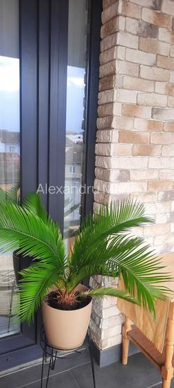 Apartament 2 camere pretabil regim hotelier aproape de zona centrala