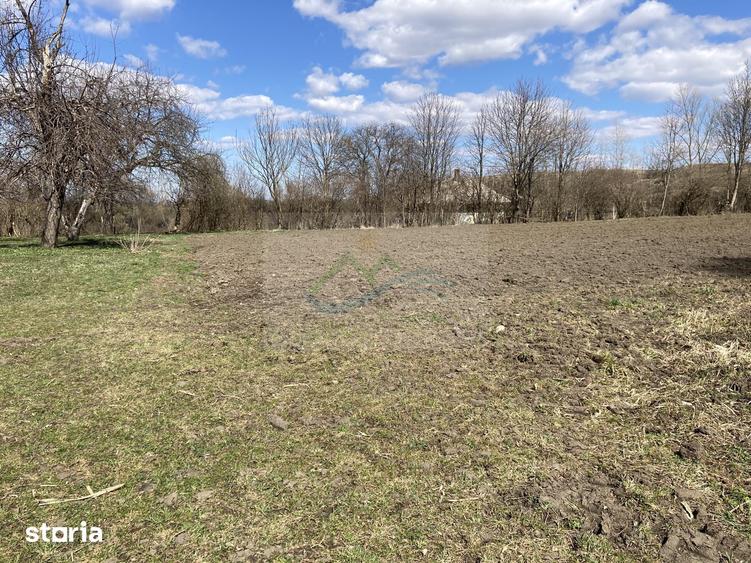 Teren Intravilan 3200 mp de vanzare - 12