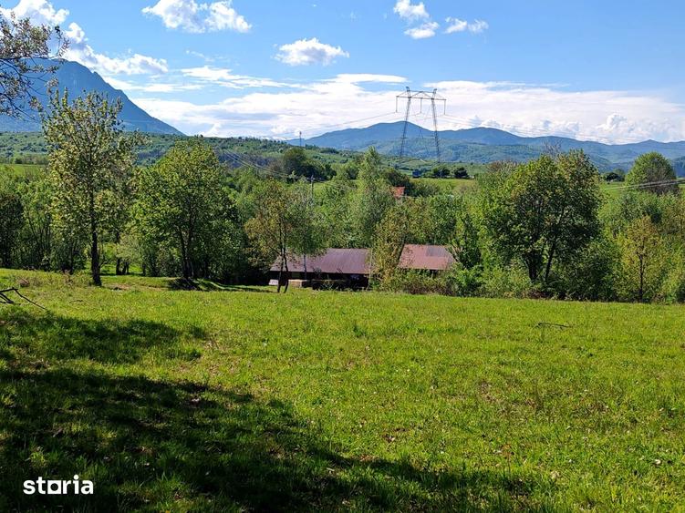 Teren de 5967 mp, în Glăjărie