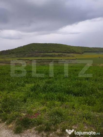Teren de 3621 mp, în Petrești