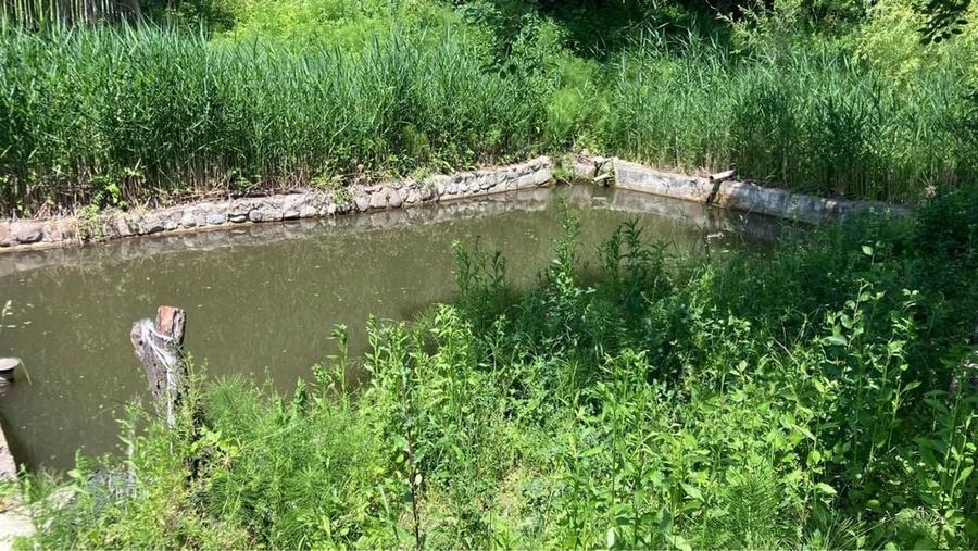 Casă cu 3 camere în Iedera