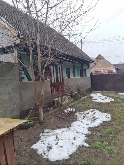 Casă cu 3 camere cu Teren 1800 Mp în Buteni