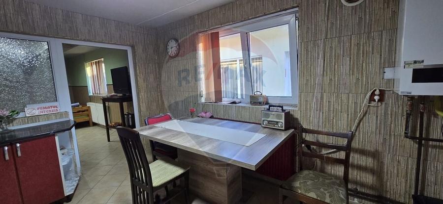 PENSIUNE IN CHISINEU CRIS - 30