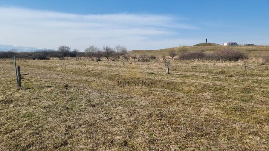 FĂRĂ COMISION | TEREN 1000 MP ȘELIMBĂR ZONA TROIȚĂ | INVESTIȚIE - 7