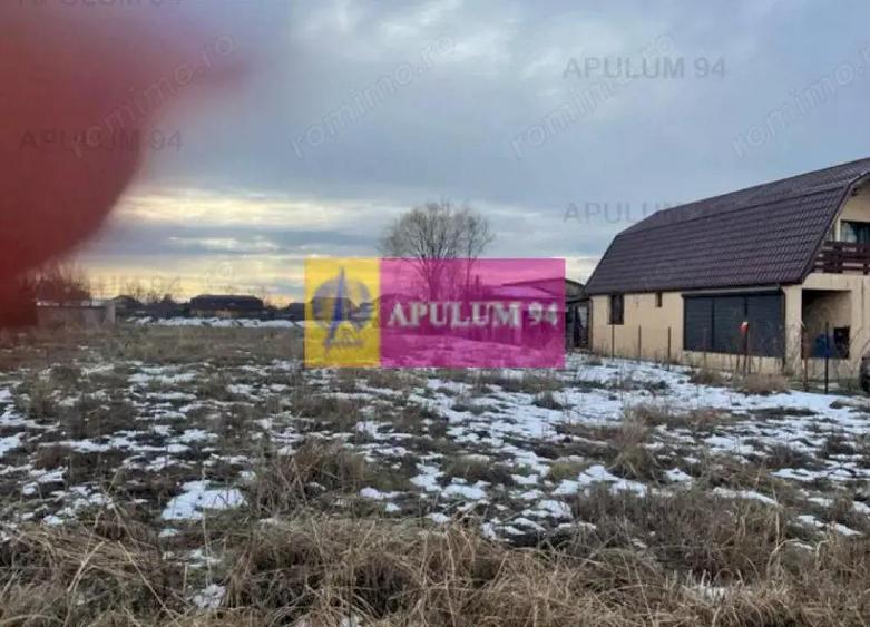 Teren Buda- Ilfov. - 1