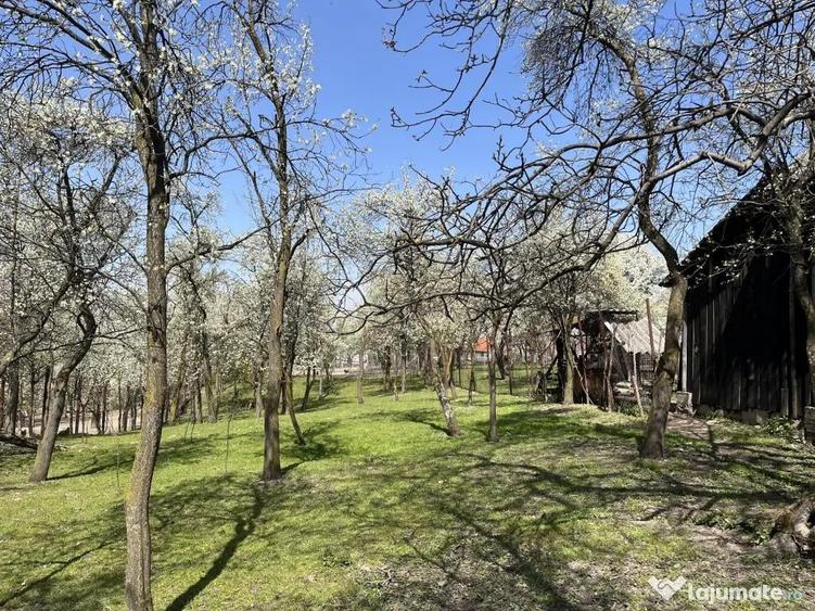 Teren intravilan Poplaca, 989 mp, centru, la 8 minute de Sibiu - 7