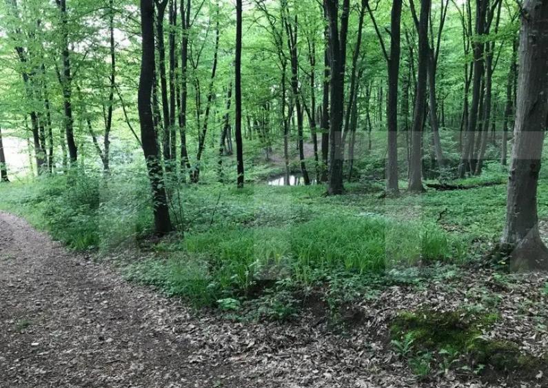 Teren intravilan, 1300 mp, Faget - 1