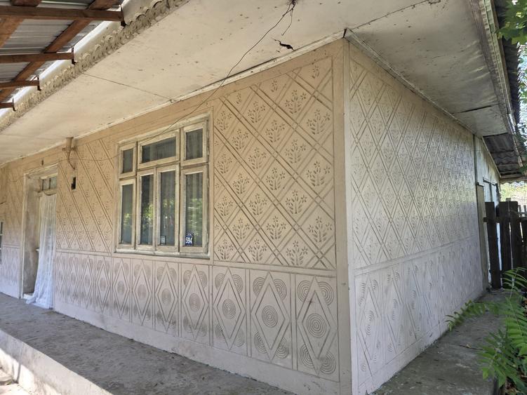 Casă cu 2 camere în Bursuci