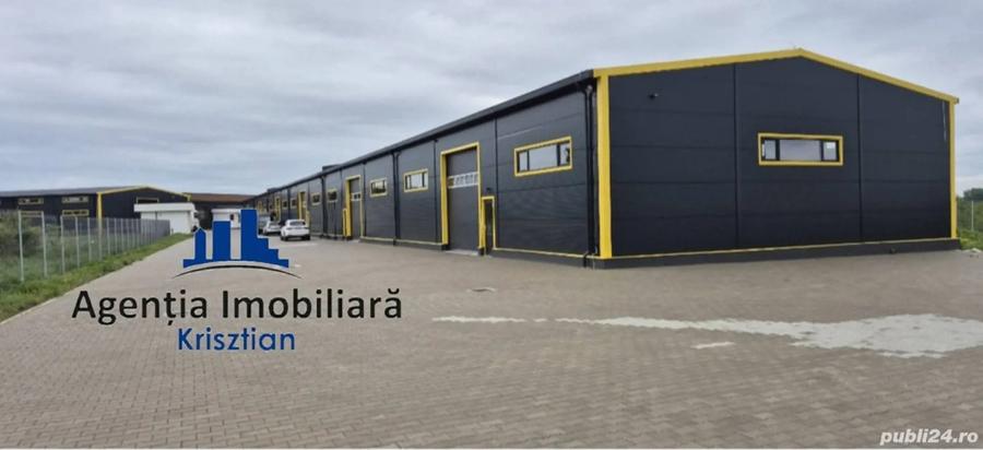 Hala industriala de inchiriat - Zona Aurel Vlaicu - 5