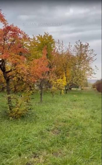 Teren la Strada EUROPEANA , CU TOATE UTILITATILE parcele de case - 2