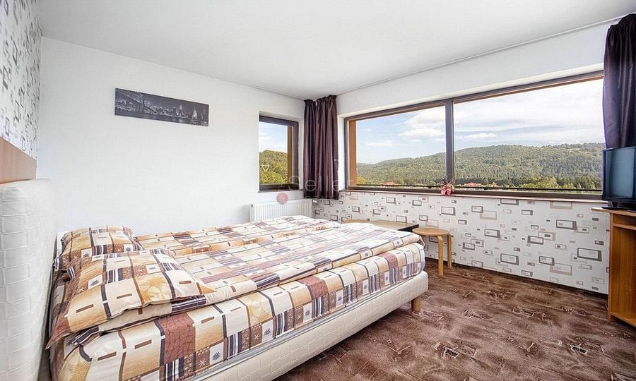 Pensiune Turistica Montana - 26