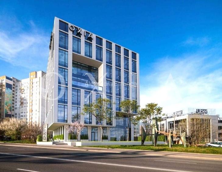 AX1131 Timisoara, Calea Lugojului, Teren Intravilan AX1131 Timisoara, Calea Lugojului, Teren Intravilan