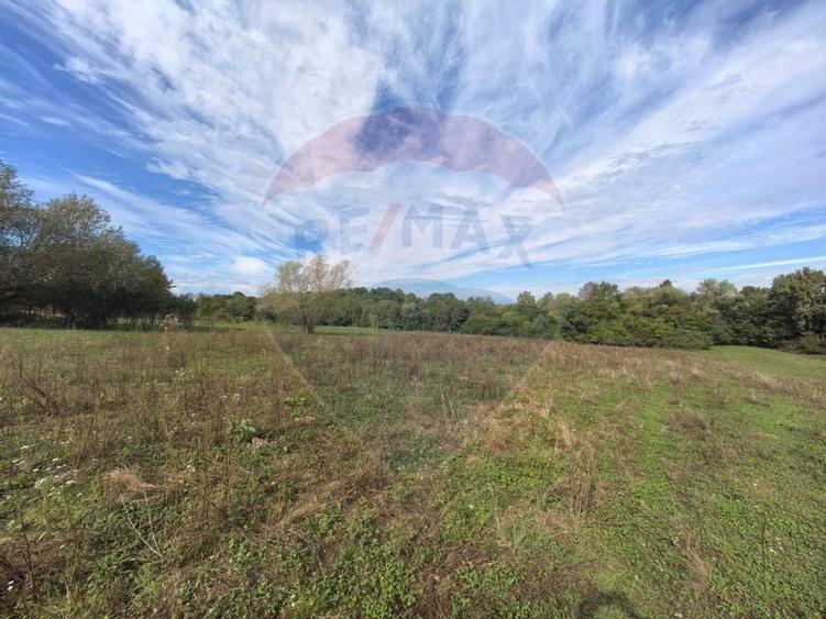 Teren 5,600mp Finteusu Mic / Strada Principala - 5