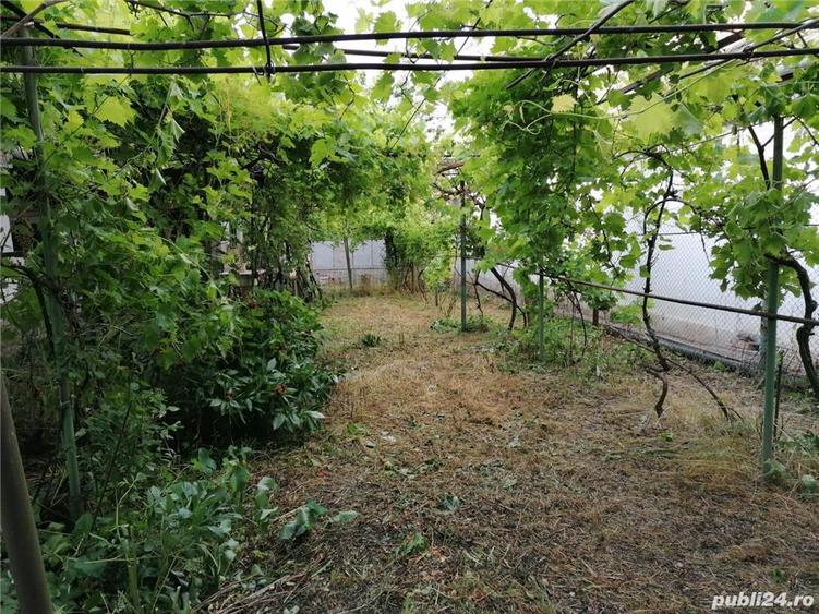 Casa si teren VARTOP; DOLJ - 7